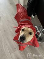 img 1 attached to 🐶 Protective Pet Gear: NINEMAX Dog Raincoat with Reflective Strip for Medium-Large Dogs review by Eduardo Murillo