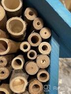 img 1 attached to FSC Certified Wood Mason Bee House For Solitary Bees - Attract Pollinators To Your Garden With Bamboo Tube Hotel. review by Michael Ghosh