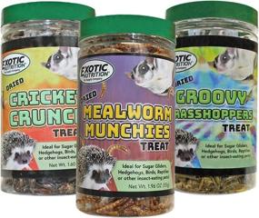 img 4 attached to 🦗 Dried Insect 3 Pack: Crickets, Grasshoppers, and Mealworms for Sugar Gliders, Hedgehogs, Wild Birds, Chickens, Turtles, Tropical Fish, and Reptiles