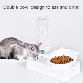 img 3 attached to Marchul Cat Bowls, Cat Dog Tilted Water And Food Bowl Set, New Version Stainless Steel Cap