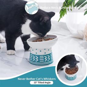 img 2 attached to Elevated Ceramic Cat Bowls Set For Stress-Free Feeding, Tilted Raised Food And Water Bowl For Cats And Puppies, Porcelain Dish For Pet, Cyan & Grey, Pack Of 2 - TAMAYKIM