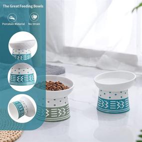img 1 attached to Elevated Ceramic Cat Bowls Set For Stress-Free Feeding, Tilted Raised Food And Water Bowl For Cats And Puppies, Porcelain Dish For Pet, Cyan & Grey, Pack Of 2 - TAMAYKIM