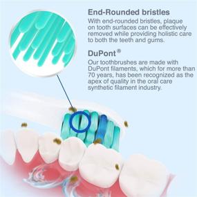 img 2 attached to 🦷 Enhance Your Oral Care Routine with Brushmo Replacement Toothbrush - Compatible with Sonicare