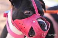 img 1 attached to Genuine Leather Basket Muzzle For Pitbulls And Staffordshire Terriers In Black By CollarDirect review by Matthew Coste