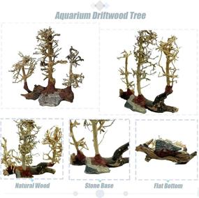 img 3 attached to Tfwadmx Driftwood Decoration Aquascape Freshwater