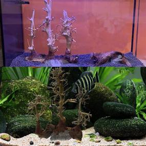 img 1 attached to Tfwadmx Driftwood Decoration Aquascape Freshwater