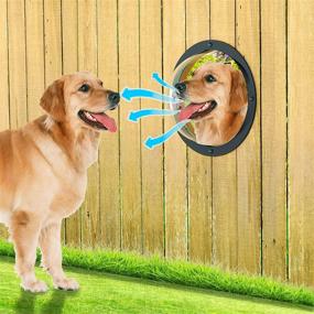 img 2 attached to 🐶 2-Pack Dog Fence Window - Clear Acrylic Dome with Air Holes for Bubble Peek View - Deep 4.3 Inch and 4.5 Inch Playground Doggie Fence Window by HIIMIEI