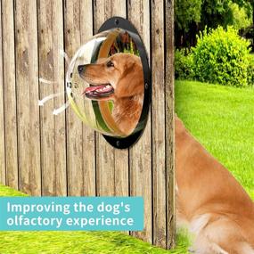 img 1 attached to 🐶 2-Pack Dog Fence Window - Clear Acrylic Dome with Air Holes for Bubble Peek View - Deep 4.3 Inch and 4.5 Inch Playground Doggie Fence Window by HIIMIEI