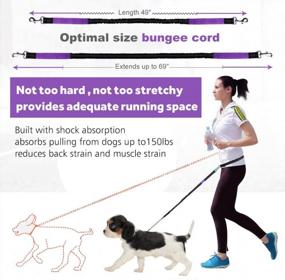img 1 attached to Hands Free Dog Leash For Running Walking Training Hiking, Dual-Handle Reflective Bungee, Poop Bag Dispenser Pouch, Adjustable Waist Belt, Shock Absorbing, Ideal For Medium To Large Dogs (Black/Purple)