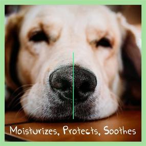 img 2 attached to 🐶 Dulàc 100% Natural Dog Nose Balm: Fragrance-Free Soother for Dry & Cracked Noses - Shea Butter, VIT E, Calendula, Beeswax - Made in Italy Moisturizing and Repairing Cream