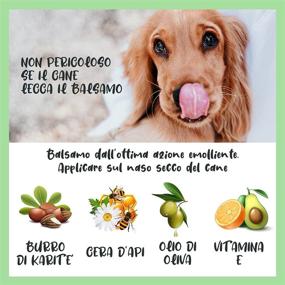 img 1 attached to 🐶 Dulàc 100% Natural Dog Nose Balm: Fragrance-Free Soother for Dry & Cracked Noses - Shea Butter, VIT E, Calendula, Beeswax - Made in Italy Moisturizing and Repairing Cream