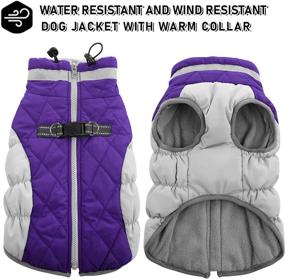 img 3 attached to AOFITEE Winter Dog Coat: Keep Your Canine Warm with Reflective, Zip-Up Fleece Jacket for Cold Weather