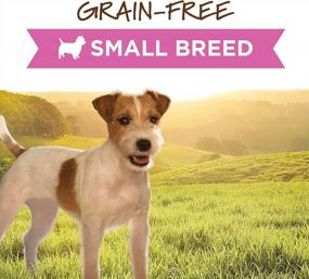img 3 attached to Small Breed Delight: влажный корм для собак Instinct Original без зерна с настоящей курицей (банки по 5,5 унции, упаковка из 12)