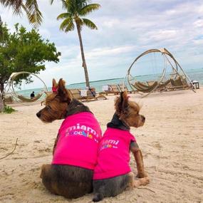 img 2 attached to 🐶 Parisian Pet Dog Cat Clothes: Miami Beach Tee Shirts with USA Bling – Show Love for Miami Poochie, Florida, and Texas!