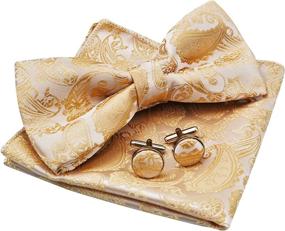 img 4 attached to 👔 Alizeal Paisley Pocket Square Cufflinks - Top Men's Accessories for Ties, Cummerbunds & Pocket Squares