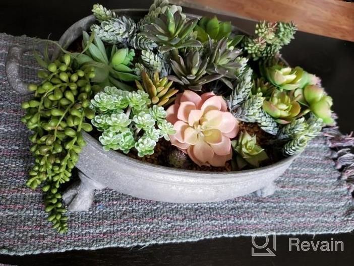 img 1 attached to Supla 14 Pcs Artificial Succulents Plants In Bulk Assorted Unpotted Hanging String Of Pearls Cactus Aloe Picks Small Fake Succulents For Wreath Centerpiece Floral Arrangement Indoor Outdoor Home Décor review by Paul Giordano