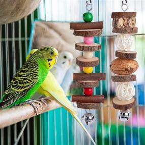 img 1 attached to 🦜 Deloky 7 Pack Natural Wood Bird Toys for Parakeets - Hanging Chewing Toys, Climbing Ladder and Bird Swing Set - Ideal for Cockatiels, Lovebirds, Budgies, Conures and More