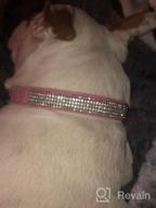 img 1 attached to Shine Bright With Didog'S Diamond-Encrusted Dog Collar For XS & Small Dogs! review by Brent Rosecrans