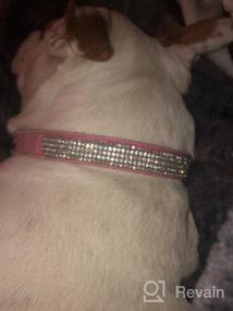 img 6 attached to Shine Bright With Didog'S Diamond-Encrusted Dog Collar For XS & Small Dogs!