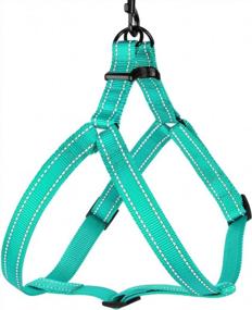 img 2 attached to CollarDirect Reflective Dog Harness Step In Small Medium Large For Outdoor Walking, Comfort Adjustable Harnesses For Dogs Puppy Pink Black Red Purple Mint Green Orange Blue (Medium, Mint Green)