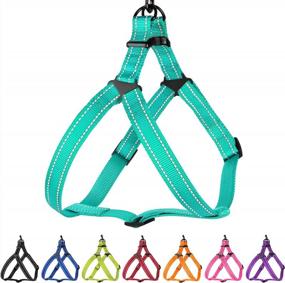 img 4 attached to CollarDirect Reflective Dog Harness Step In Small Medium Large For Outdoor Walking, Comfort Adjustable Harnesses For Dogs Puppy Pink Black Red Purple Mint Green Orange Blue (Medium, Mint Green)