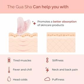 img 1 attached to Gua Sha Rose Quartz Tool For Face Anti Aging Massage - Facial Skin Care Product - PLANTIFIQUE GuaSha Tool For Skincare Routine