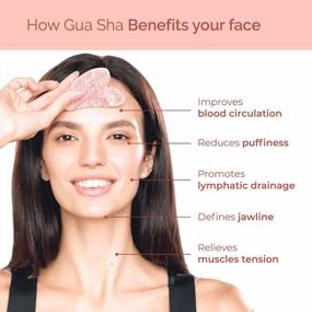 img 3 attached to Gua Sha Rose Quartz Tool For Face Anti Aging Massage - Facial Skin Care Product - PLANTIFIQUE GuaSha Tool For Skincare Routine