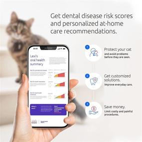 img 2 attached to Basepaws Cat Dental Health Test: Assessing Risks of Periodontal Disease, Bad Breath, and Tooth Resorption for Personalized Care