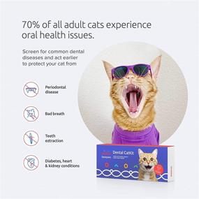 img 3 attached to Basepaws Cat Dental Health Test: Assessing Risks of Periodontal Disease, Bad Breath, and Tooth Resorption for Personalized Care