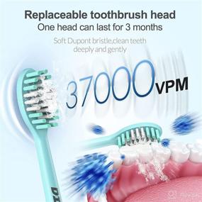 img 2 attached to 🪥 Rechargeable Electric Toothbrush for Whitening Teeth