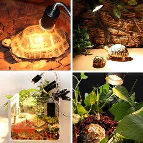 img 1 attached to 6 Pack of 50W Sunbathing Basking Lamp Heating Light Bulbs for Reptiles - Ideal for Lizards, Chameleons, Bearded Dragons, and Turtles