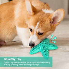 img 1 attached to Potaroma Dog Chew Toy, Starfish Shaped Interactive Puppy Squeaky Toys , Durable And Tough Dog Teeth Cleaning Toy Perfect Dental Care For Small Medium Large Breeds