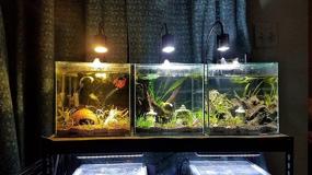 img 1 attached to Enhance Your Fish Tank with LED Aquarium Light - Versatile 3 Color Spotlight: 3000K, 4000K, 6000K Cool Warm White for Planted Tanks