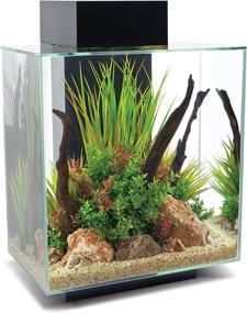 img 4 attached to Black Fluval Edge 2.0 Aquarium Kit - 12 Gallon, Lightweight 42 lbs