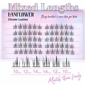 img 3 attached to Manga Lashes Cluster Mixed Length Natural Look Eyelash Extensions Wispy DIY Lash Individual Hybrid Asian 10Mm-14Mm Anime Cluster Pack By Lanflower