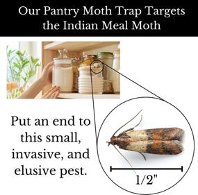 img 1 attached to Dr. Killigan'S Premium Pantry Moth Traps With Pheromones Prime Non-Toxic Sticky Glue Trap For Food And Cupboard Moths In Your Kitchen How To Get Rid Of Moths Organic (6, Blue)