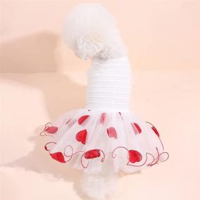 img 1 attached to 🐾 DaFuEn Dog Wedding Dress - Stylish Summer Puppy Dresses for Small/Medium Dog Girls, Perfect for Chihuahuas, Yorkies & Love Cats. Cute Skirt Outfit, Pet Apparel & Tutus Available!