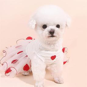 img 3 attached to 🐾 DaFuEn Dog Wedding Dress - Stylish Summer Puppy Dresses for Small/Medium Dog Girls, Perfect for Chihuahuas, Yorkies & Love Cats. Cute Skirt Outfit, Pet Apparel & Tutus Available!