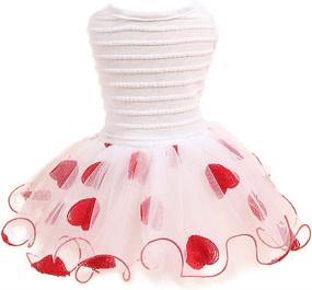 img 4 attached to 🐾 DaFuEn Dog Wedding Dress - Stylish Summer Puppy Dresses for Small/Medium Dog Girls, Perfect for Chihuahuas, Yorkies & Love Cats. Cute Skirt Outfit, Pet Apparel & Tutus Available!