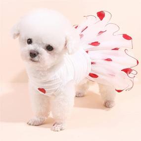 img 2 attached to 🐾 DaFuEn Dog Wedding Dress - Stylish Summer Puppy Dresses for Small/Medium Dog Girls, Perfect for Chihuahuas, Yorkies & Love Cats. Cute Skirt Outfit, Pet Apparel & Tutus Available!