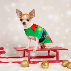 img 2 attached to 🎄 Stylish Sebaoyu Christmas Dog Dresses: Winter Pet Sweater with Color Light for Festive Doggy Cosplay Apparel and Party Outfit