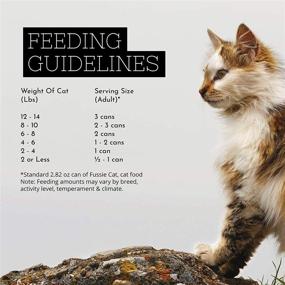 img 2 attached to Fussie Cat Super Premium Chicken Formula in Gravy Grain-Free Wet Cat Food - Case of 24, 2.82oz