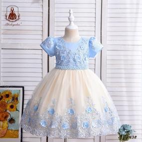 img 3 attached to 👗 Embroidered Girls' Clothing: 4 Beautiful 10th Birthday Applique Dresses