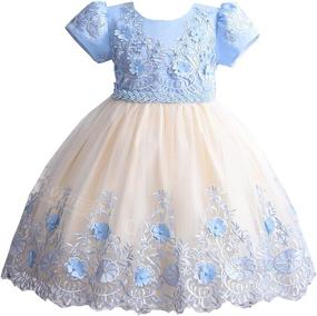 img 4 attached to 👗 Embroidered Girls' Clothing: 4 Beautiful 10th Birthday Applique Dresses