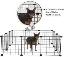 img 3 attached to ALLISANDRO Small Animal Playpen: Indoor/Outdoor Metal Wire Cage, Portable Fence for Guinea Pigs, Bunny, Turtle, Hamster - 11.8x11.8 Dimensions