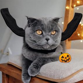 img 1 attached to 🦇 RYPET Cat Halloween Costume - Halloween Bat Wings Pet Costumes for Small Dogs and Cats - Perfect for Halloween Parties and Cosplay