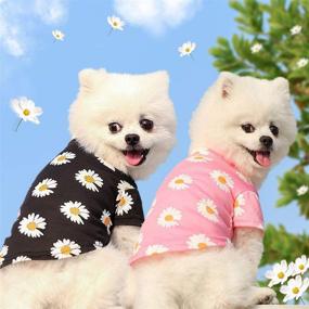 img 2 attached to WEYATO Dog Shirts Flowers Summer Cool Beach Shirts Comfy Stylish Breathable Puppy T-Shirts Cotton Vest Clothes for Dogs and Cats Pet Apparel Design Adorable Casual Cozy Dog Shirt - Black, Size Large