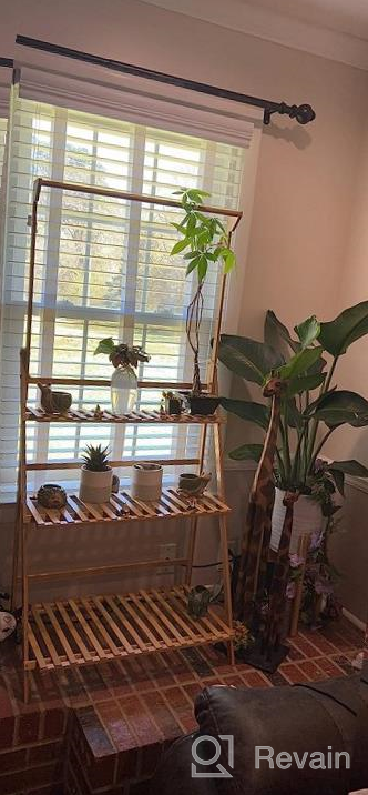 img 1 attached to COPREE Bamboo 3-Tier Hanging Plant Stand: Organize Your Garden In Style! review by Samuel Groove