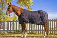 🐎 benefab therapeutic mesh sheet - smartscrim with ceramic infused powder and magnetic therapy, scientifically proven to alleviate back soreness, enhance blood circulation & recovery, minimize pain & stiffness, sleek black design logo