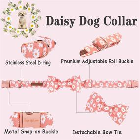 img 2 attached to Unique Style Paws Collar Adjustable Dogs